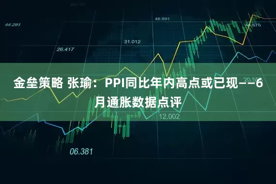 金垒策略 张瑜：PPI同比年内高点或已现——6月通胀数据点评